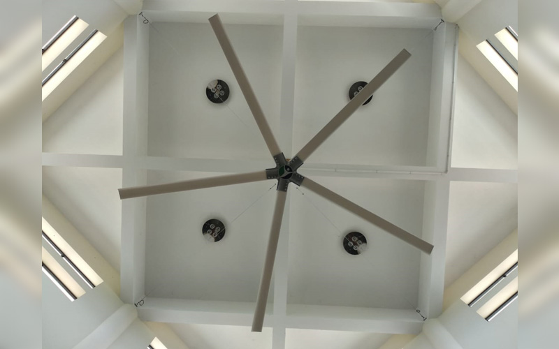 HVLS Fan For Agriculture In Ruwais