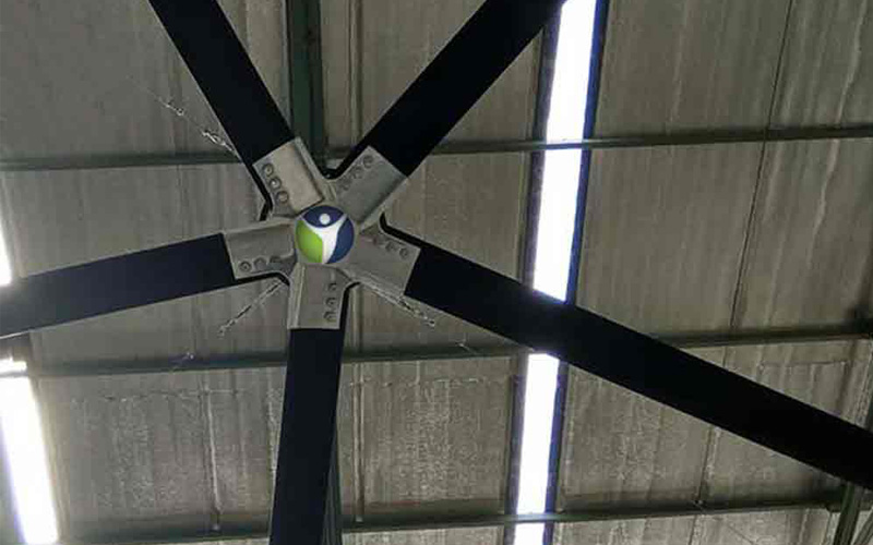 Large Ceiling Fan In Tirap